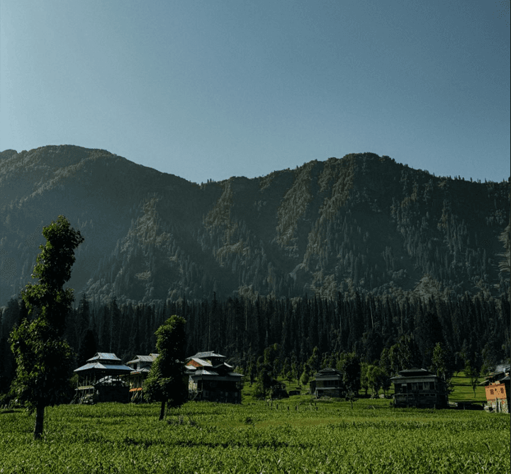 Kashmir