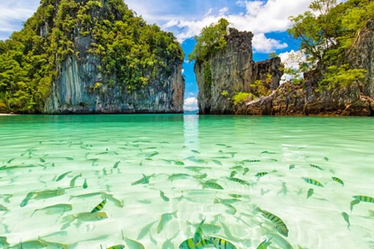 Havelock Island
