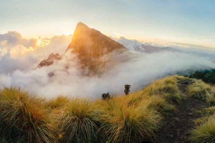 Kolukkumalai Peak munnar