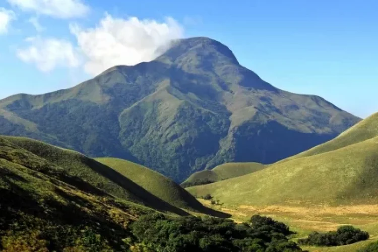 Anamudi Peak Munnar