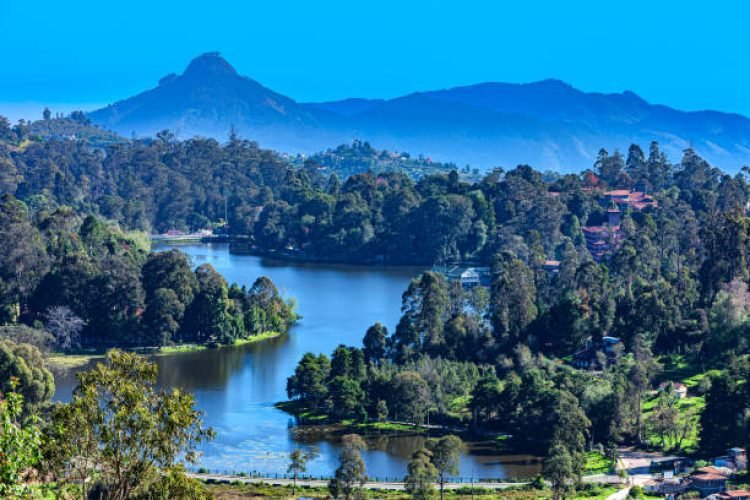 Kodaikanal Lake