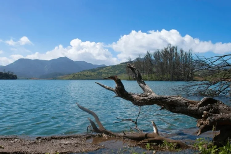 Lakes in ooty