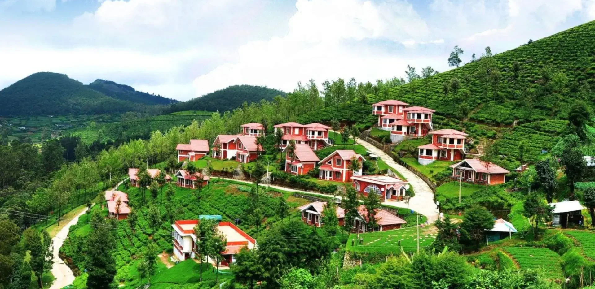 Ooty