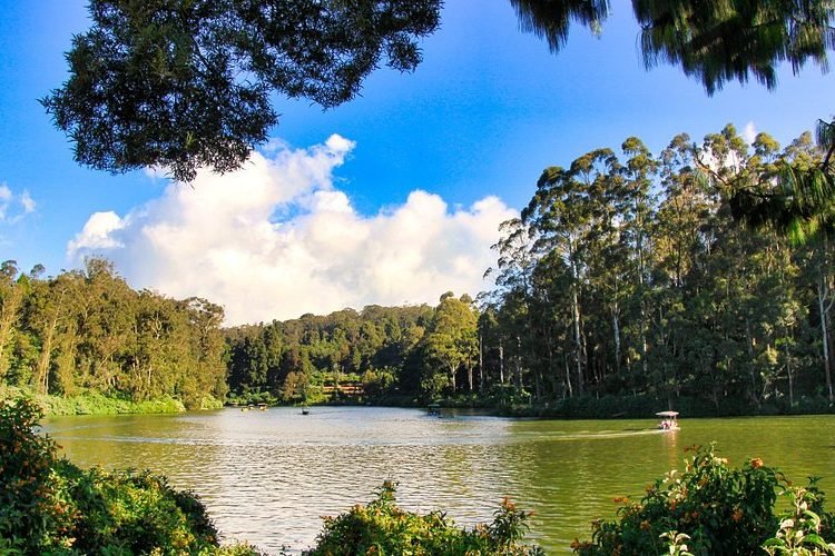 Lakes in Ooty